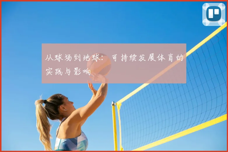 从球场到地球:可持续发展体育的实践与影响